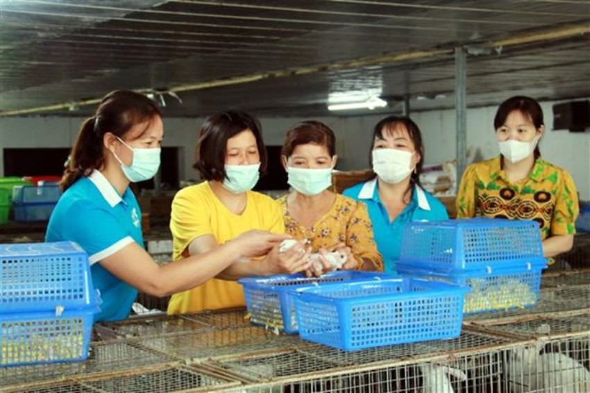 Bình đẳng giới để đạt mục tiêu phát triển bền vững