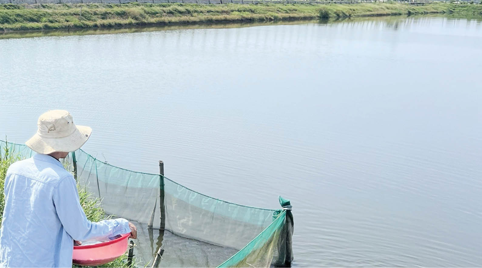 Người… không cho đất nghỉ