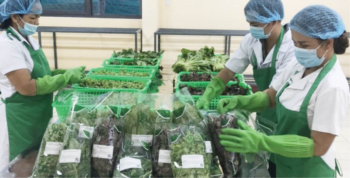 Thực phẩm sạch đang được nhiều người lựa chọn