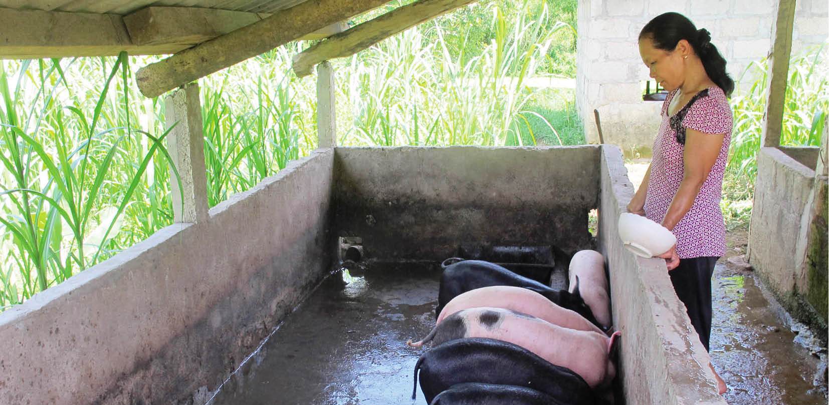 Xóa hộ nghèo bằng các chính sách hỗ trợ thiết thực