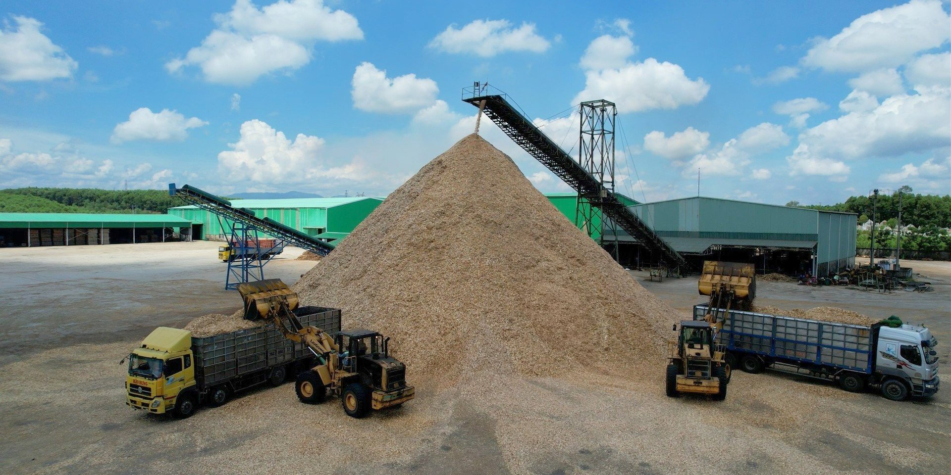 Phú Lộc 8 12 chỉ tiêu đạt tiến độ kế hoạch thực hiện Nghị quyết Đại hội Đảng bộ huyện