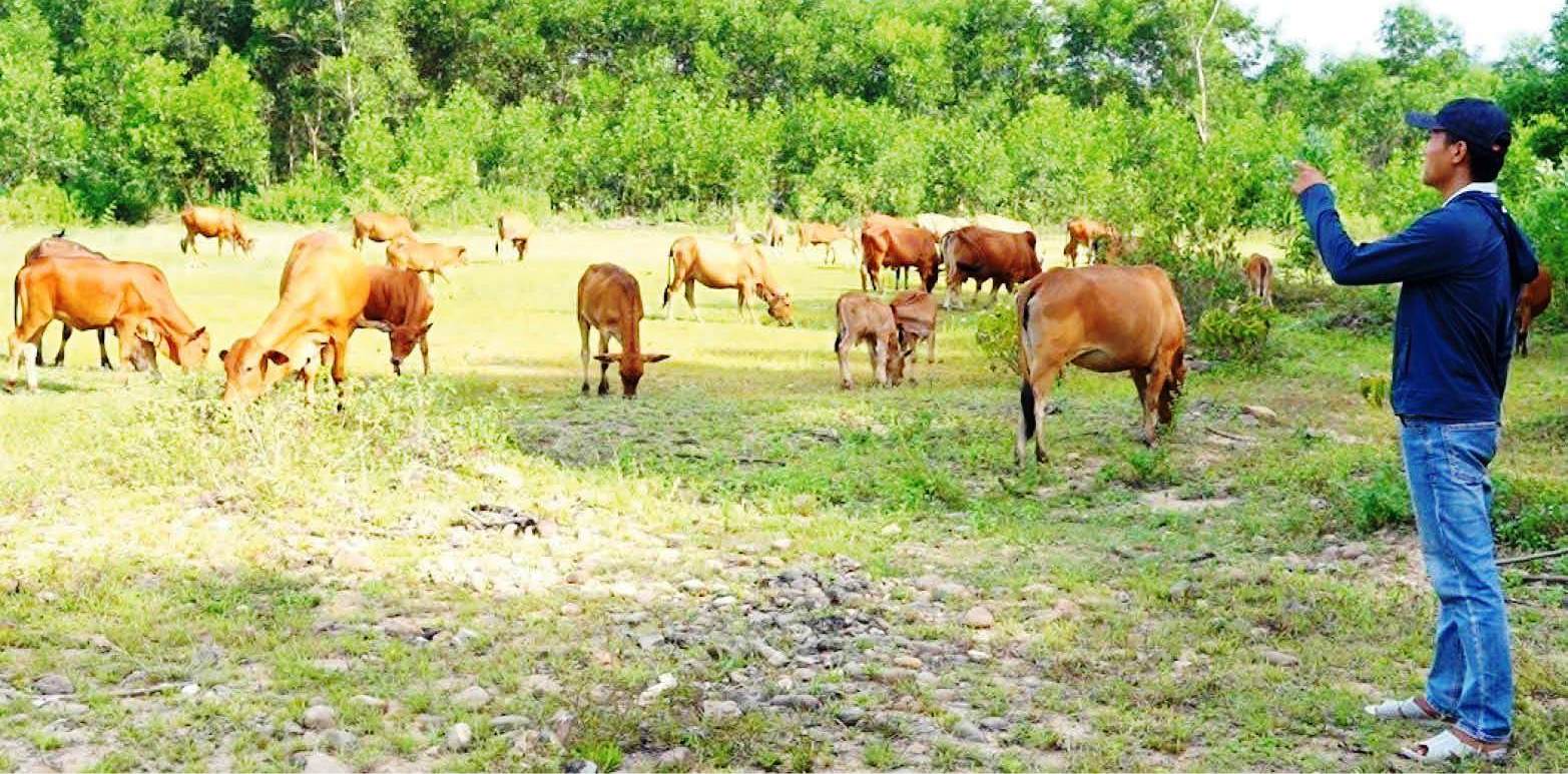 Đồng hành với thanh niên lập thân, lập nghiệp