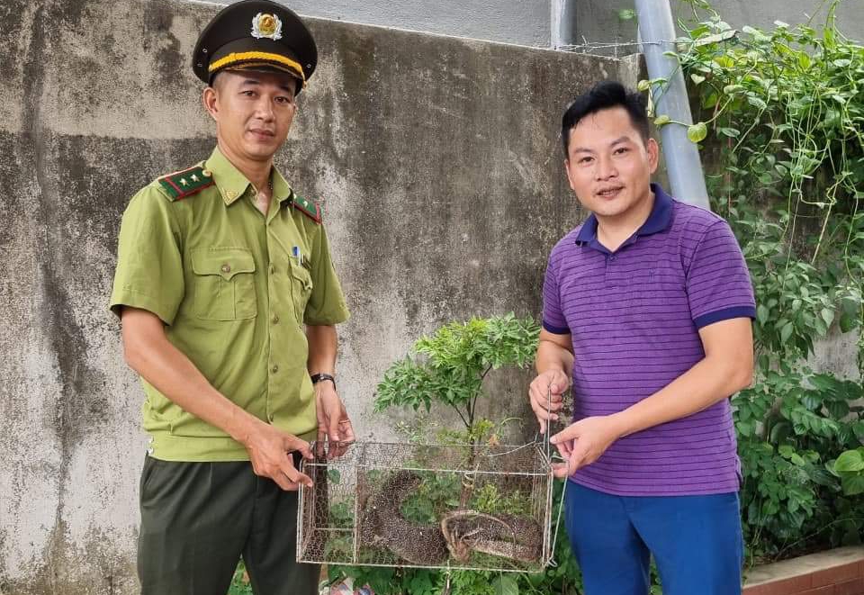 Tiếp nhận một cá thể kỳ đà vân quý hiếm