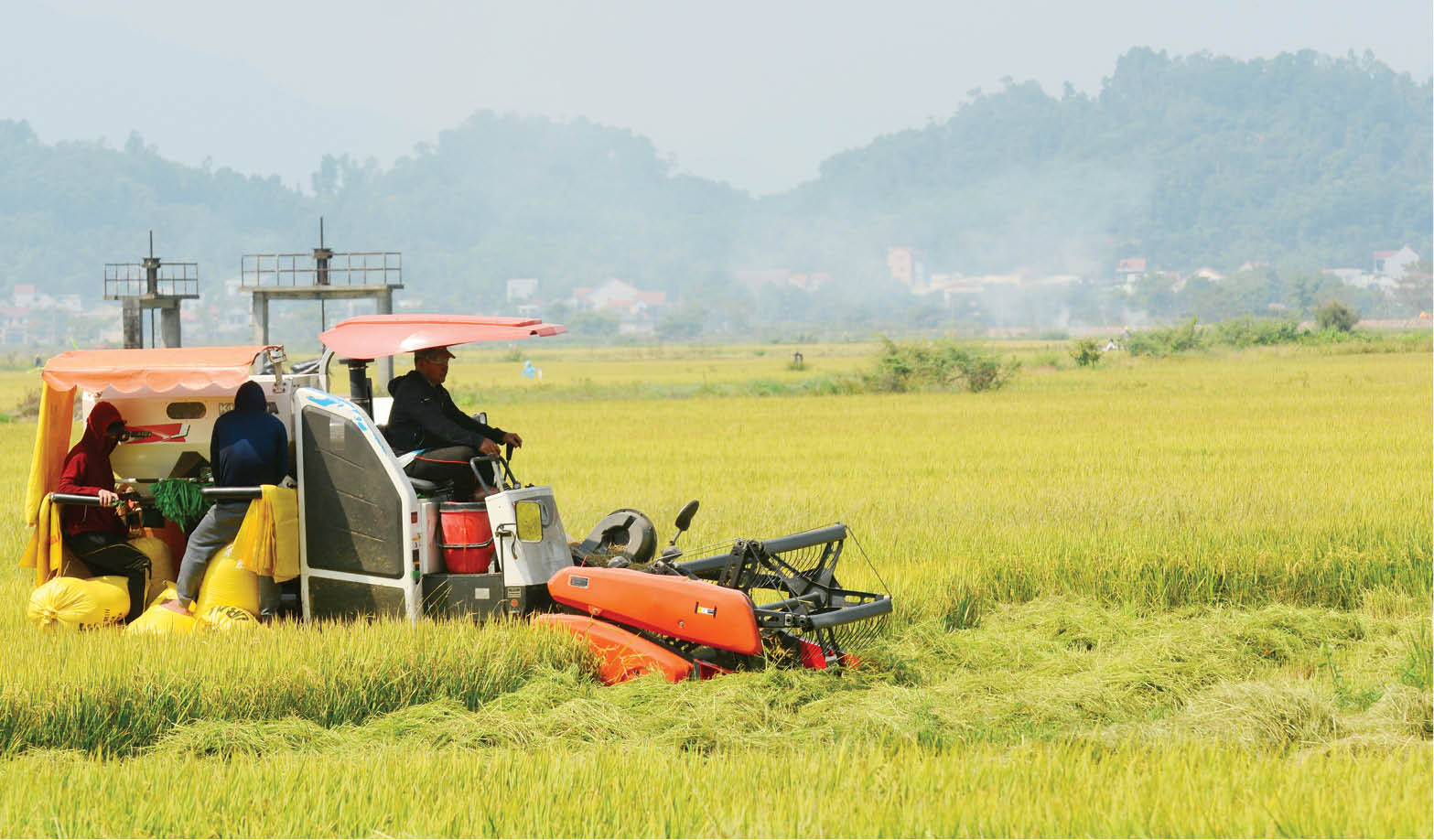 Sản xuất nông nghiệp liên kết theo chuỗi giá trị Không còn lo “được mùa – mất giá”