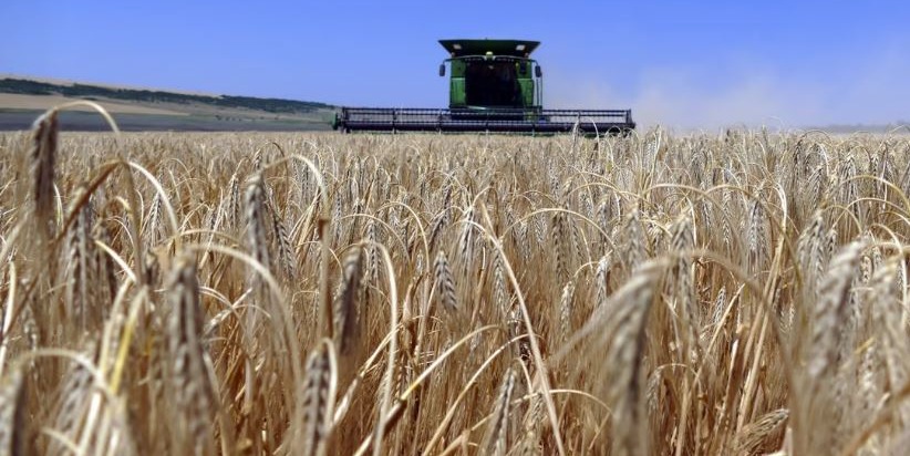 Sự sụp đổ của Thỏa thuận Ngũ cốc Biển Đen gây mối đe dọa lớn toàn cầu