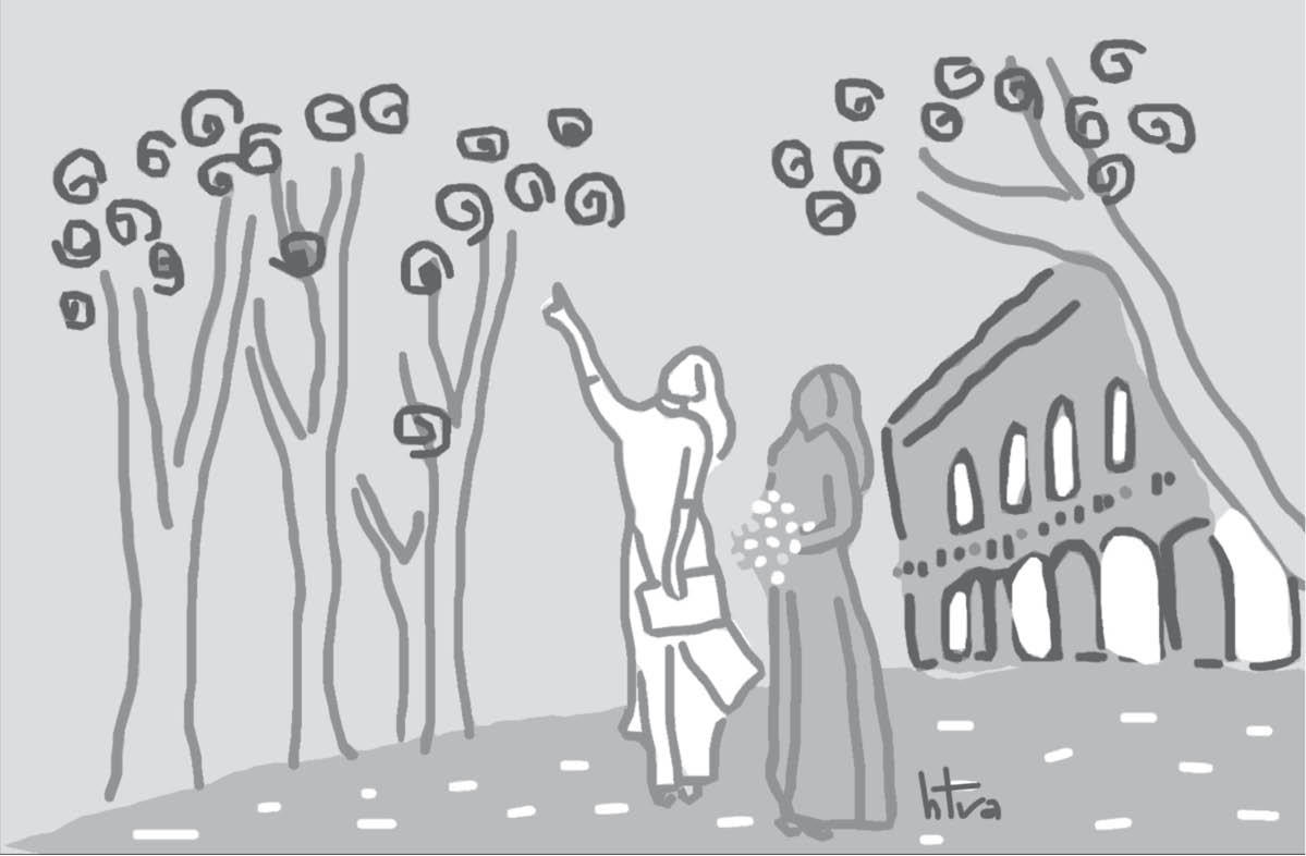 Những miền xanh lấp lánh