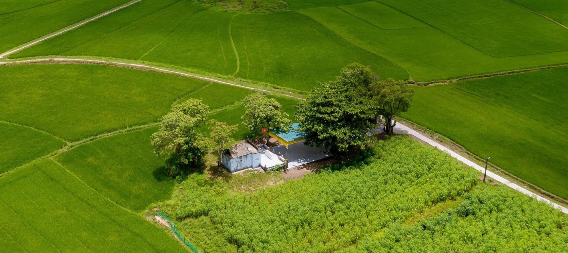 Miếu Linh Quang được xếp hạng di tích cấp tỉnh