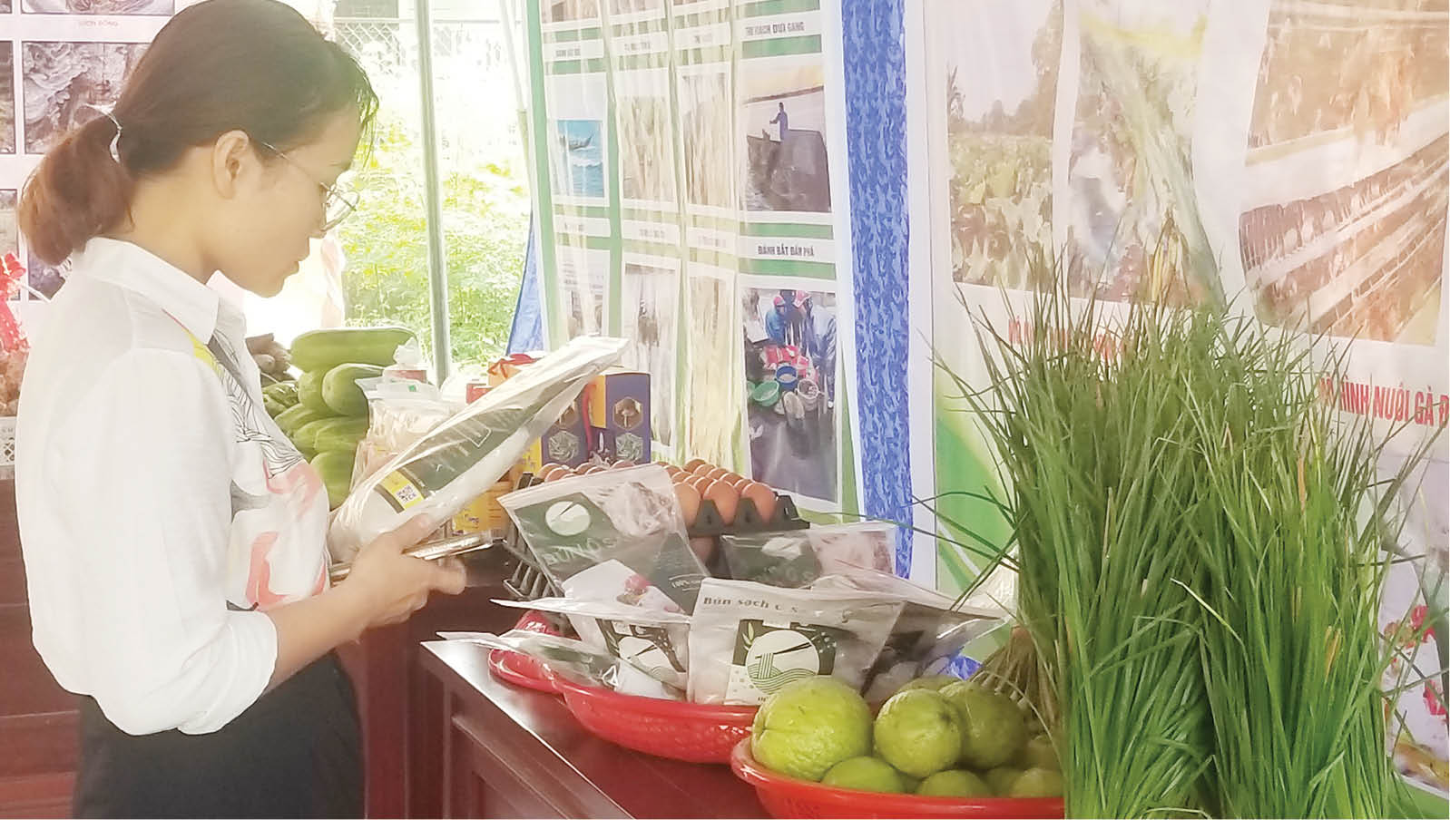 Xây dựng nông thôn mới giàu, đẹp