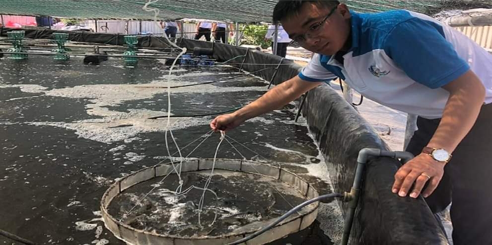 Thời tiết thất thường khiến thủy sản nuôi dịch bệnh và chết