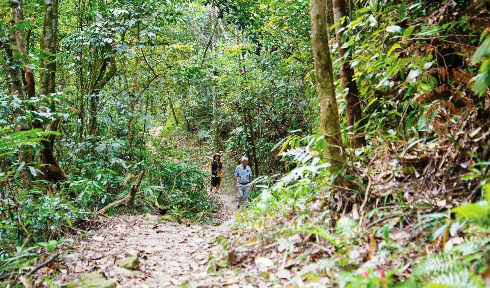 Cái Bạch Mã cần là sự tinh tế