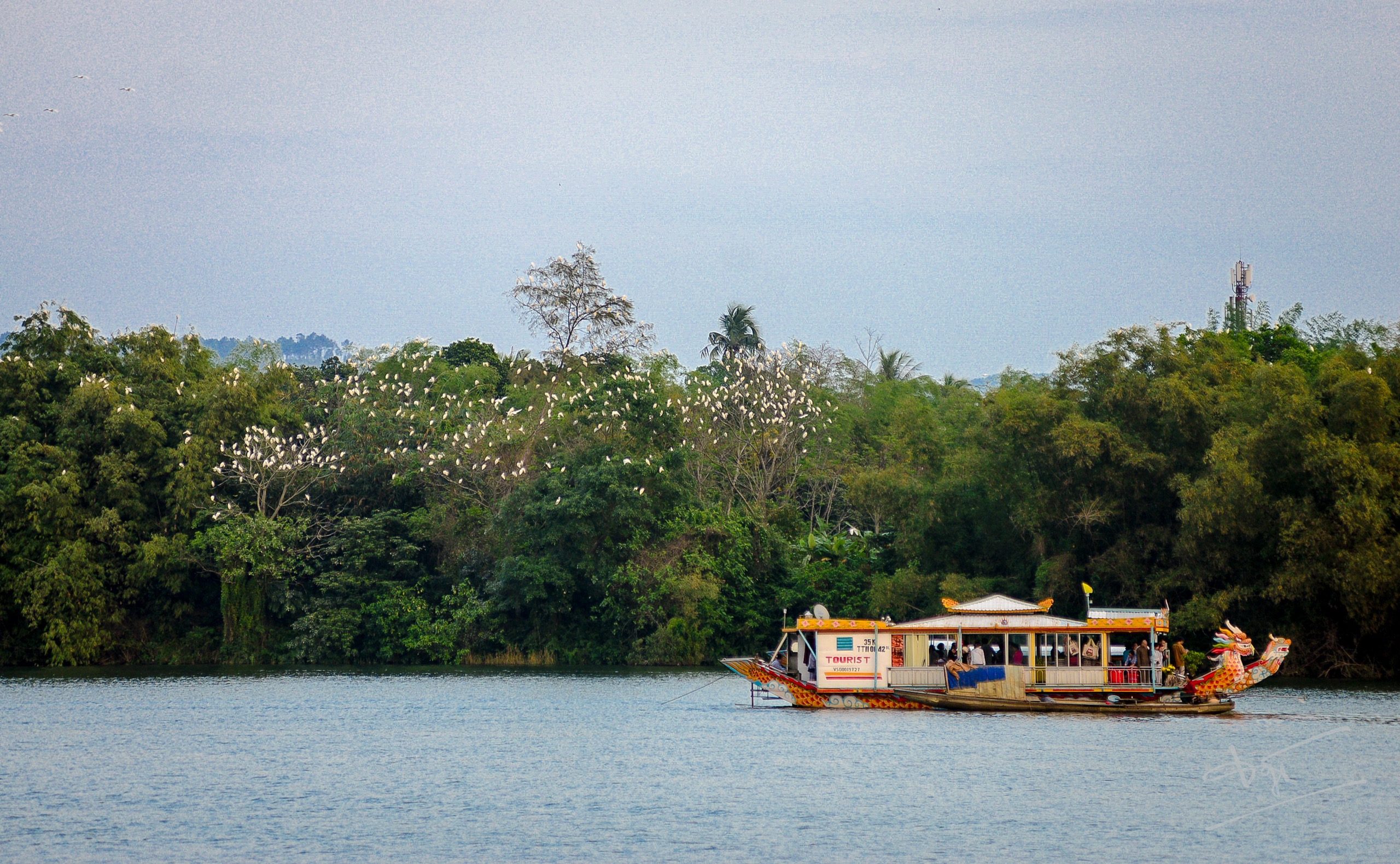 Một “điệu buồn” của ca Huế