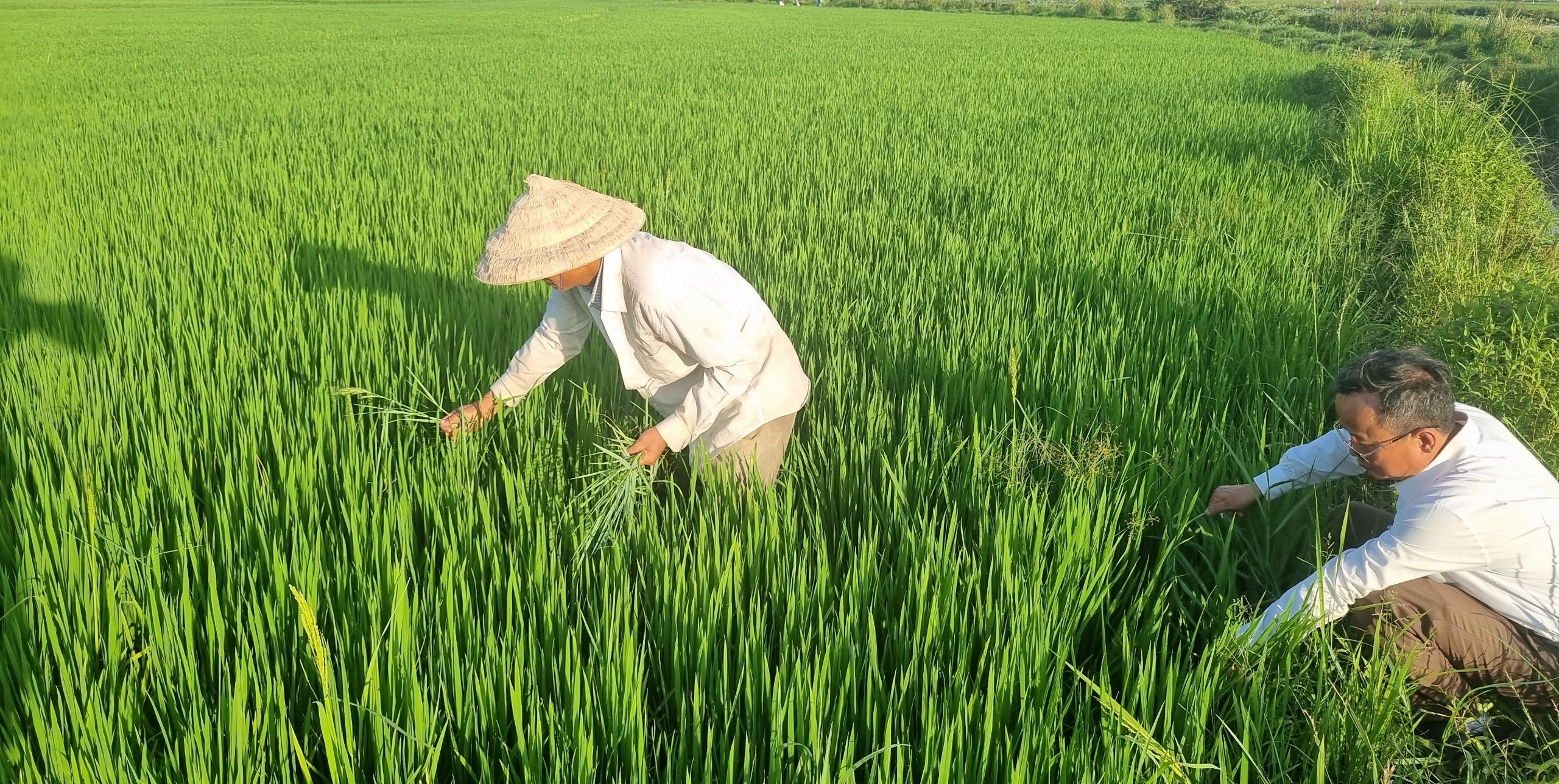 Phú Vang triển khai 3 nhiệm vụ trọng tâm phát triển kinh tế - xã hội