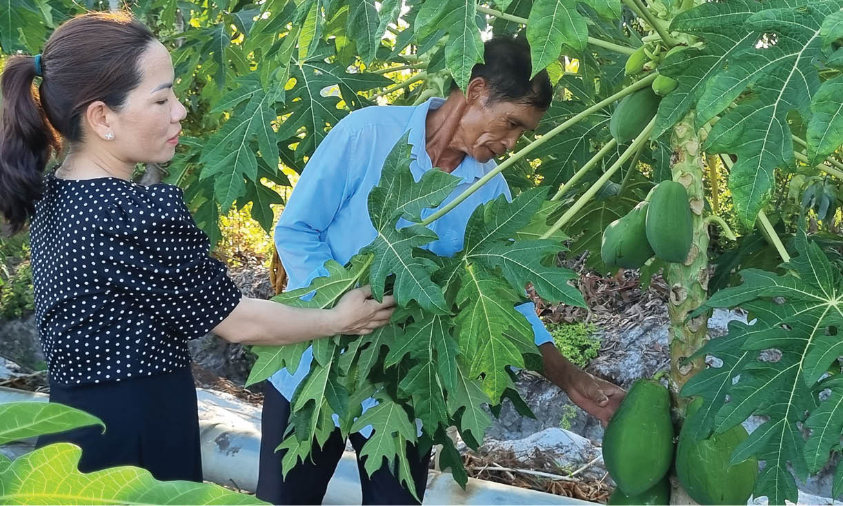 Quả ngọt từ tình yêu vườn, ruộng