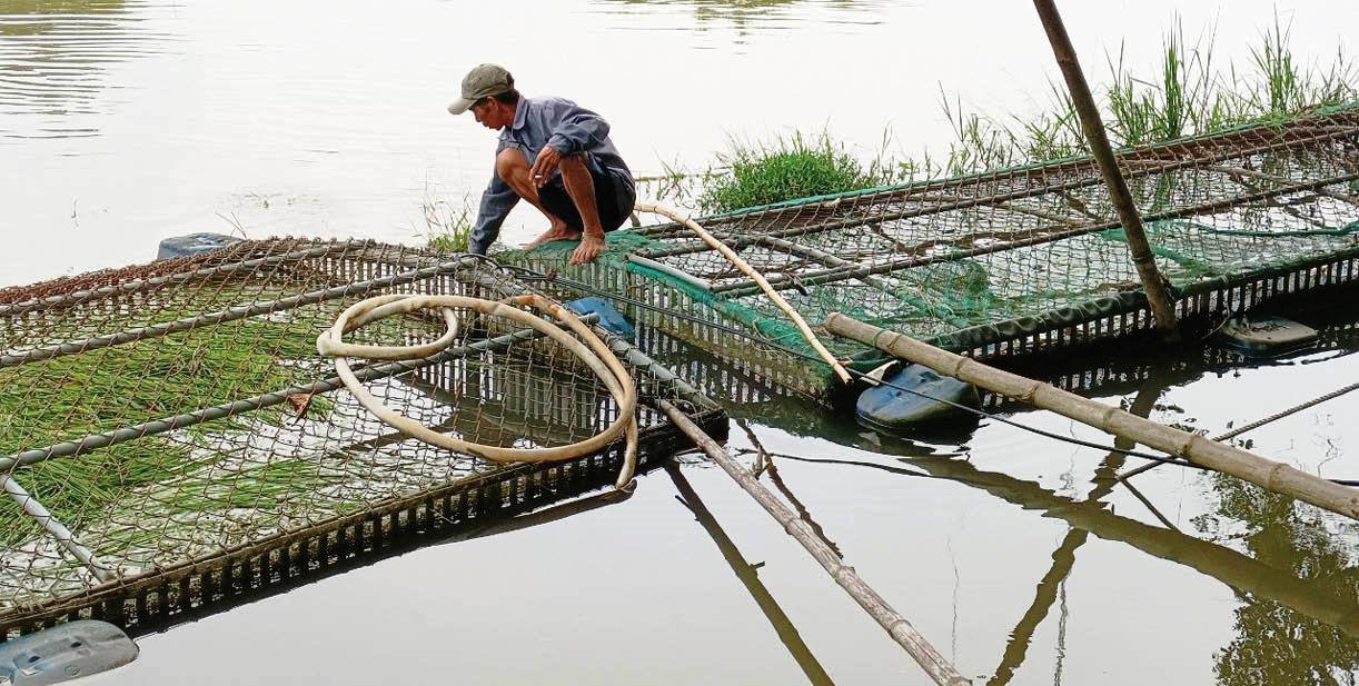 Quảng Thọ tập trung nguồn lực cho nông thôn mới nâng cao