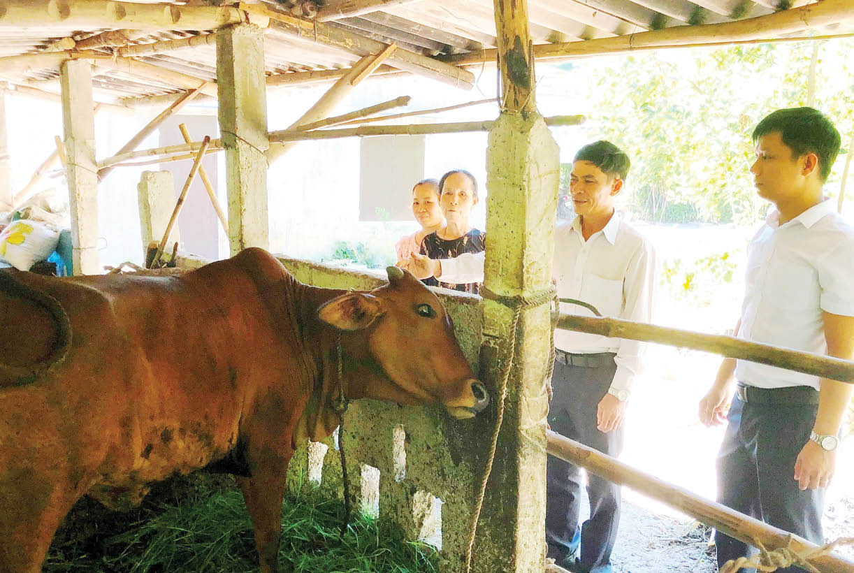 Hiệu quả từ các mô hình hỗ trợ sinh kế cho người nghèo