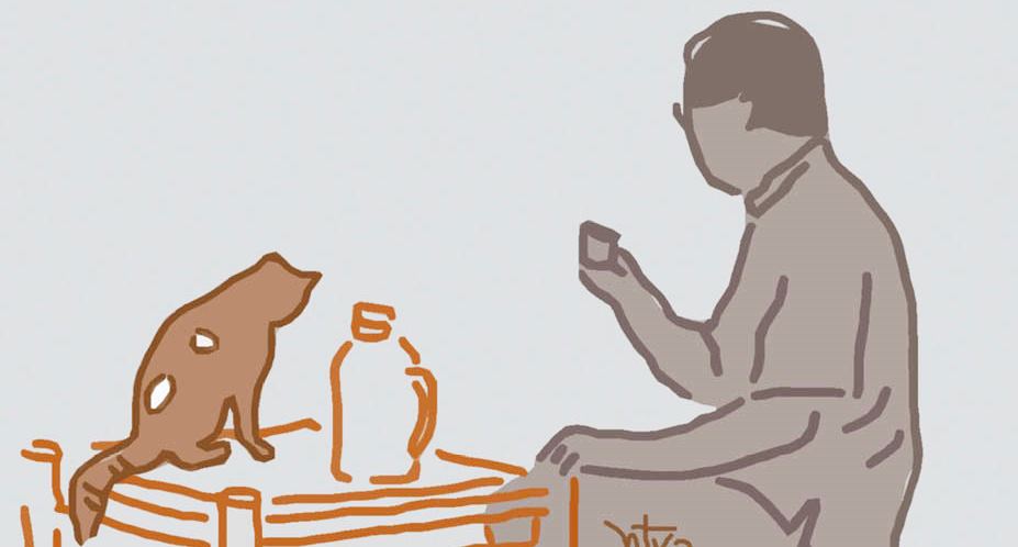 Đêm khuya lộng lẫy quỳnh thơm