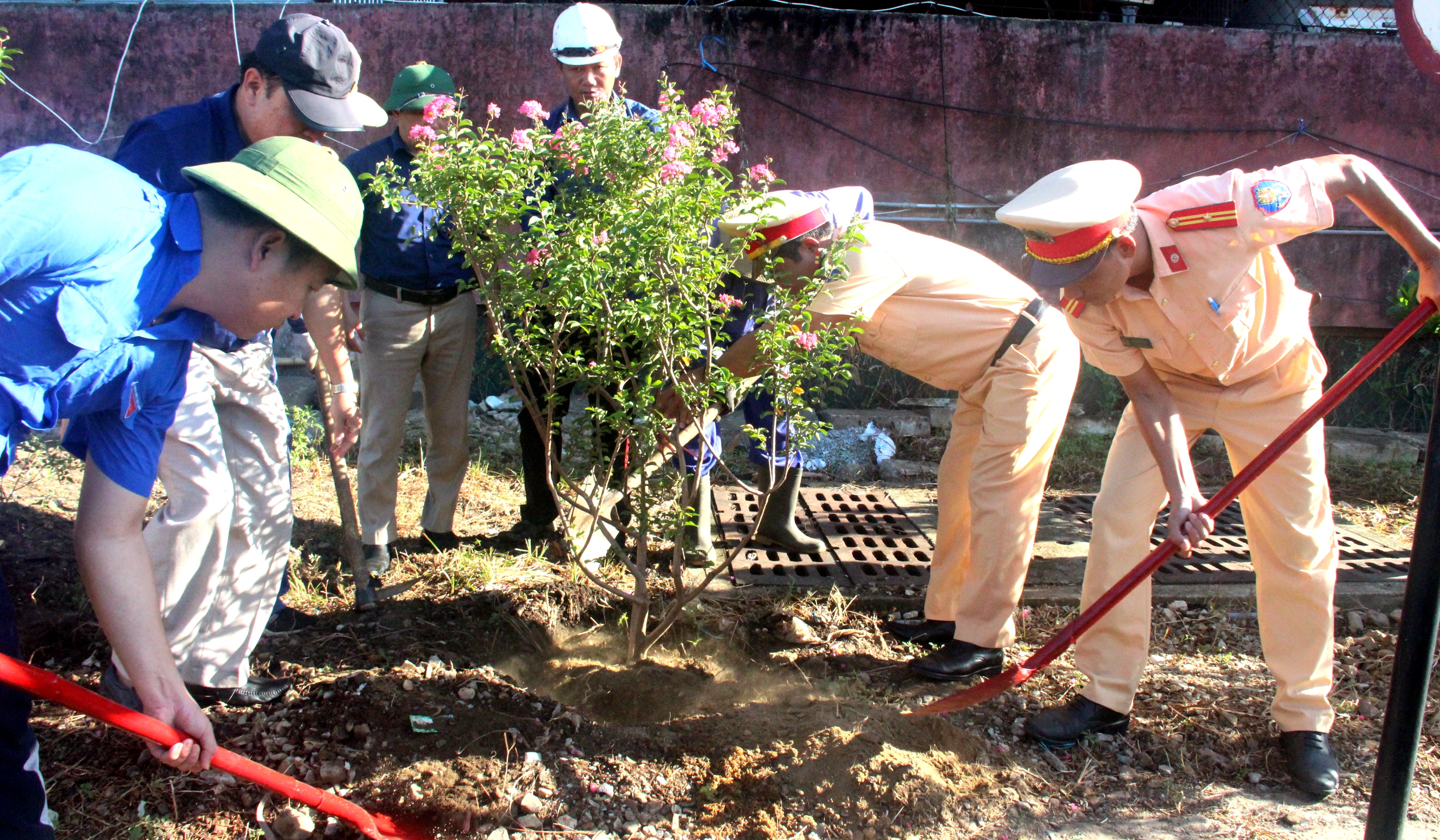 “Đường tàu - Đường hoa”