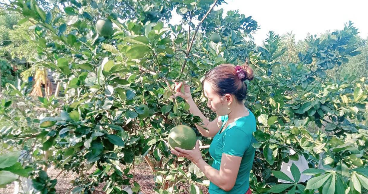 Phụ nữ làm chủ kinh tế