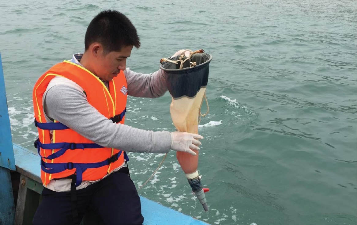 Bảo tồn thiên nhiên, phát triển sinh kế