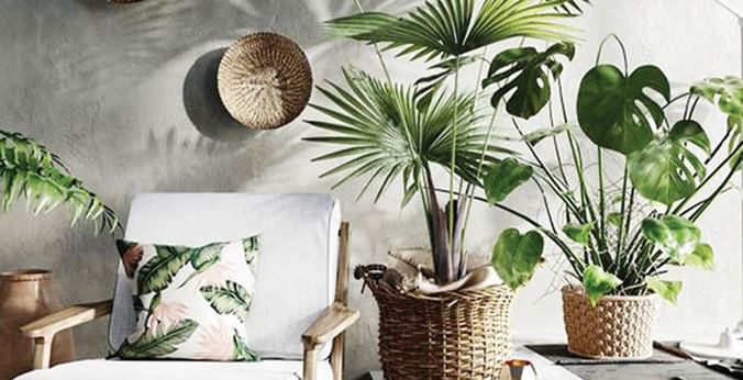 Biến tấu với Tropical