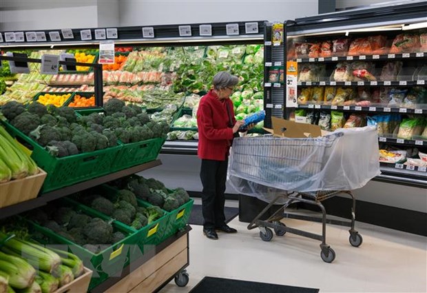 Tăng trưởng thương mại toàn cầu sẵn sàng phục hồi trong quý III