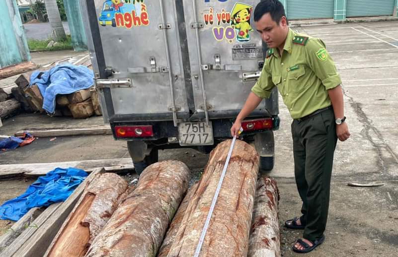 Bắt giữ xe vận chuyển gỗ trái phép