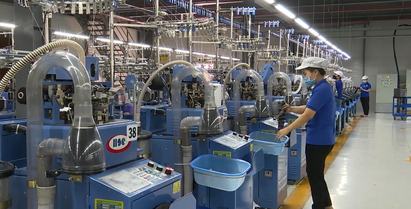 Bản tin Kinh tế ngày 2 9