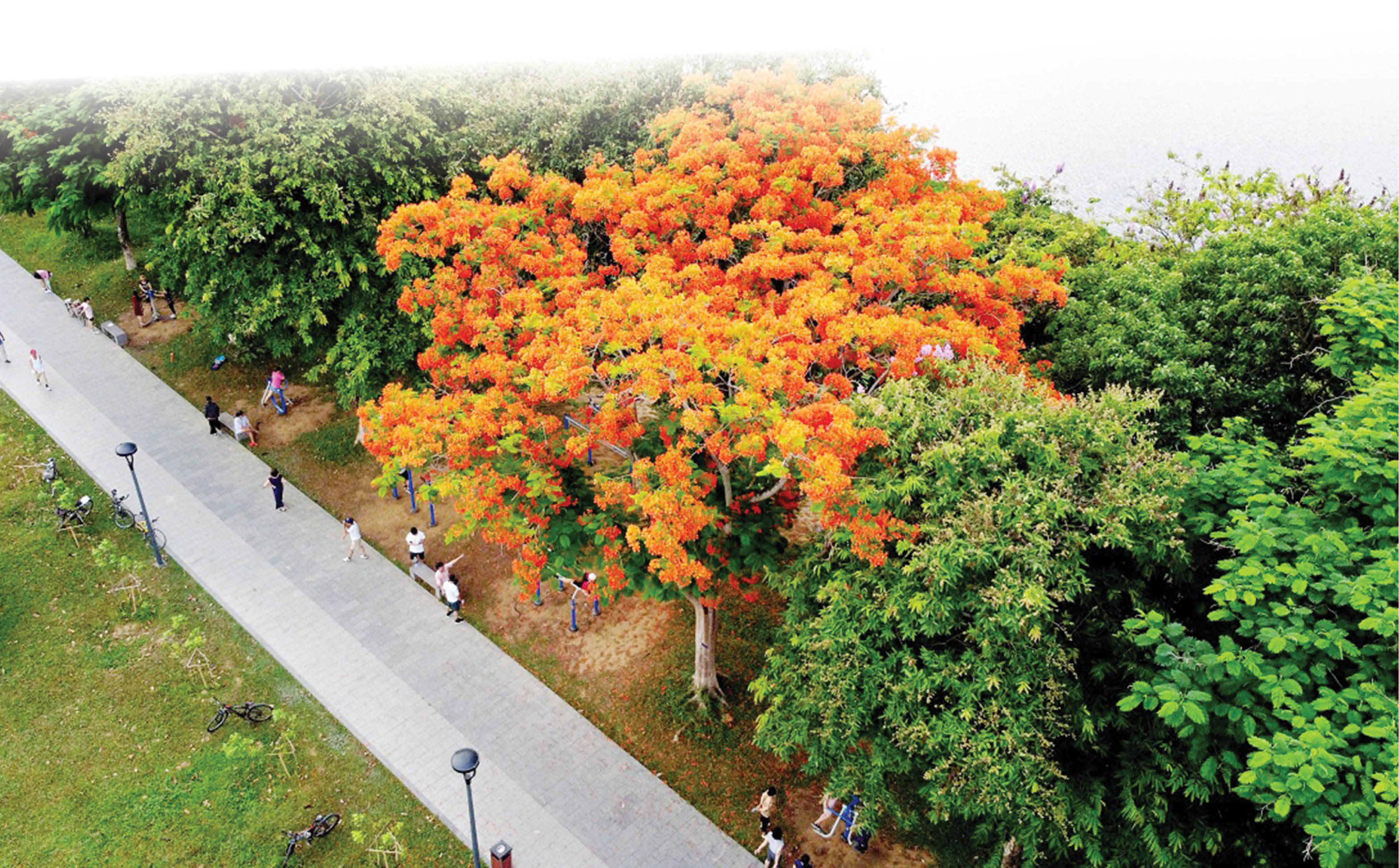 Xứng tầm đô thị trung tâm