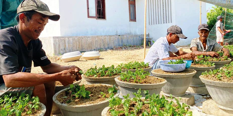 “Khởi động” vụ hoa tết