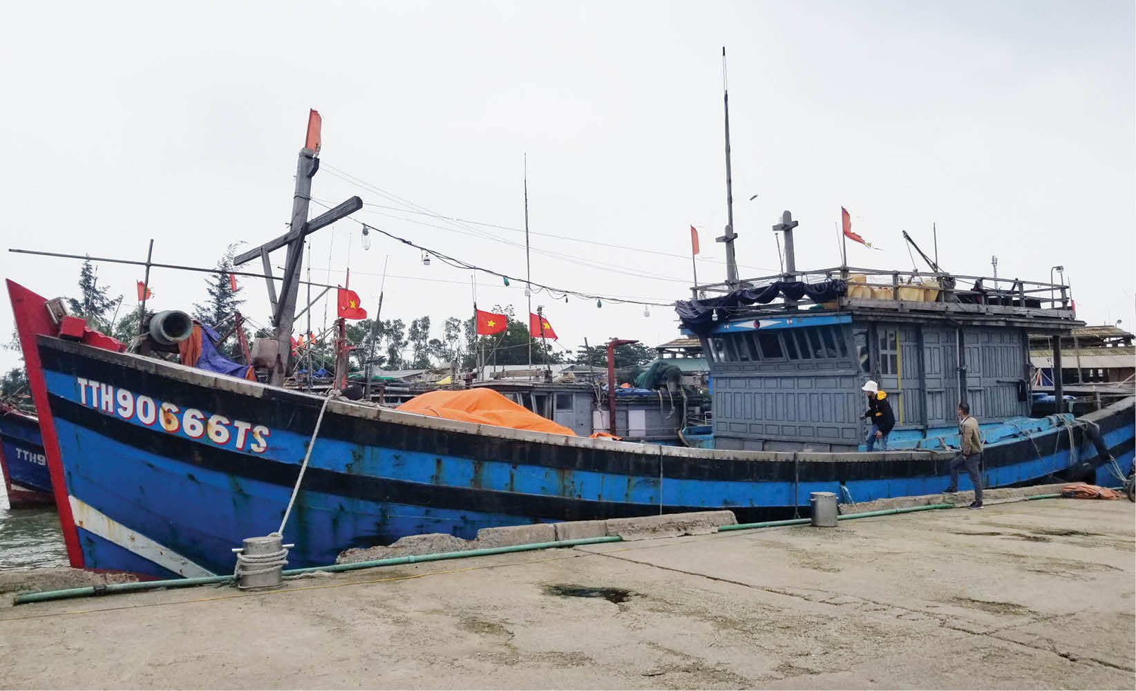 Chống khai thác hải sản bất hợp pháp