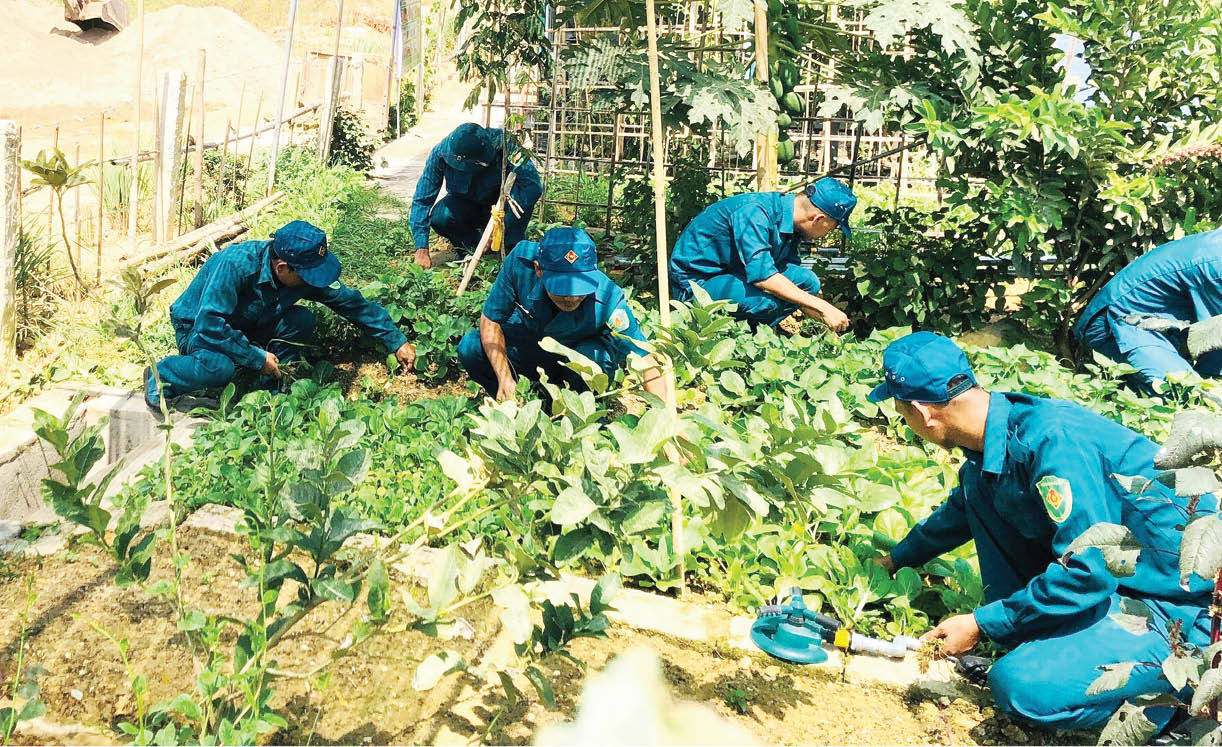 Ban Chỉ huy Quân sự phường Thủy Dương Điểm sáng trong tăng gia sản xuất