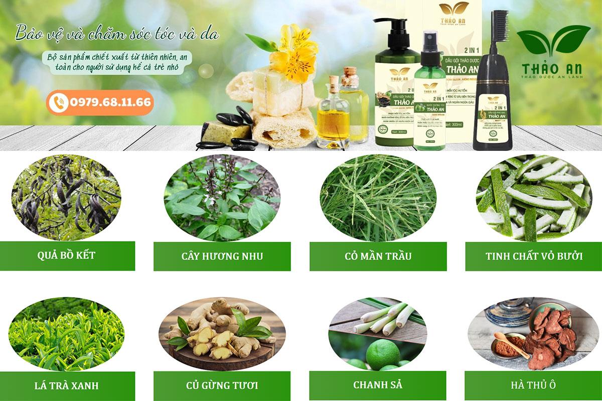 Lời khuyên đến những bạn đang có ý định dùng dầu gội thảo dược Thảo An