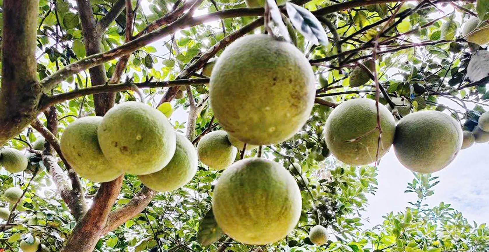 Cần nâng tính…khó tính của thị trường