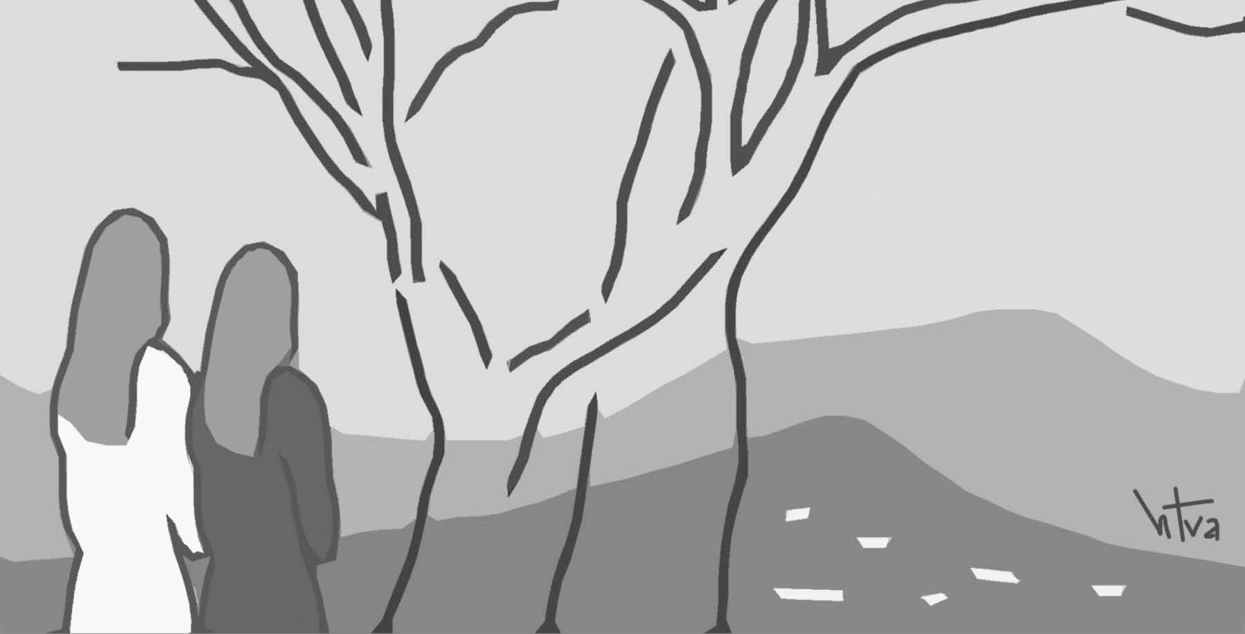 Cây Kơ nia trên đỉnh đồi