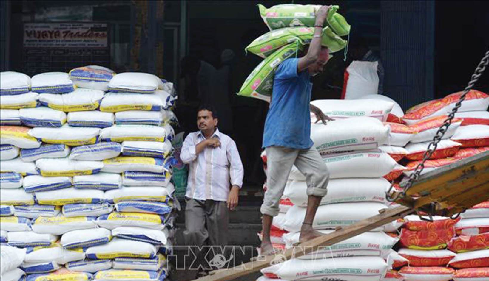 Châu Á Dự báo sản lượng cây trồng bị tác động bởi El Nino