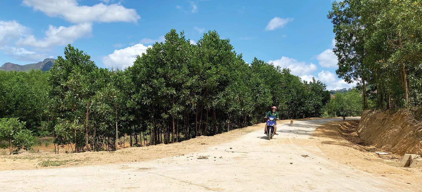 Nhiều công trình phát huy hiệu quả từ Chương trình Mục tiêu Quốc gia 1719