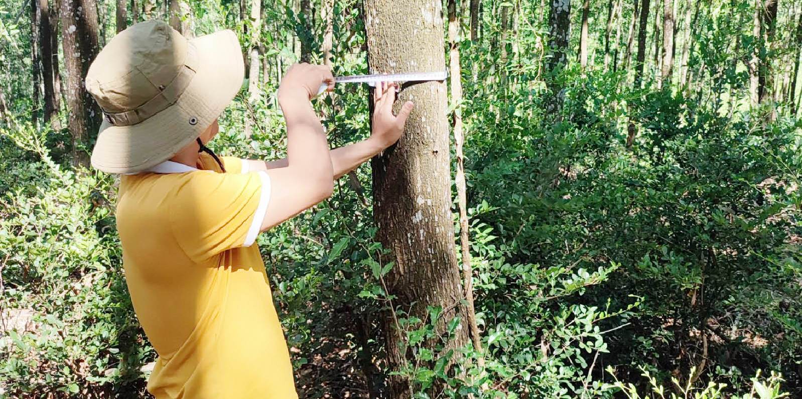 Đa dạng loại hình kinh tế hợp tác xã