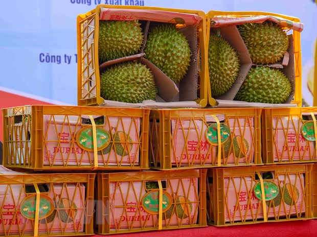 HSBC Nhu cầu toàn cầu đối với quả sầu riêng tăng vọt 400