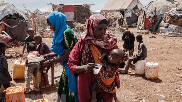 WFP Khủng hoảng nạn đói toàn cầu khiến hơn 700 triệu người không biết khi nào mới có ăn