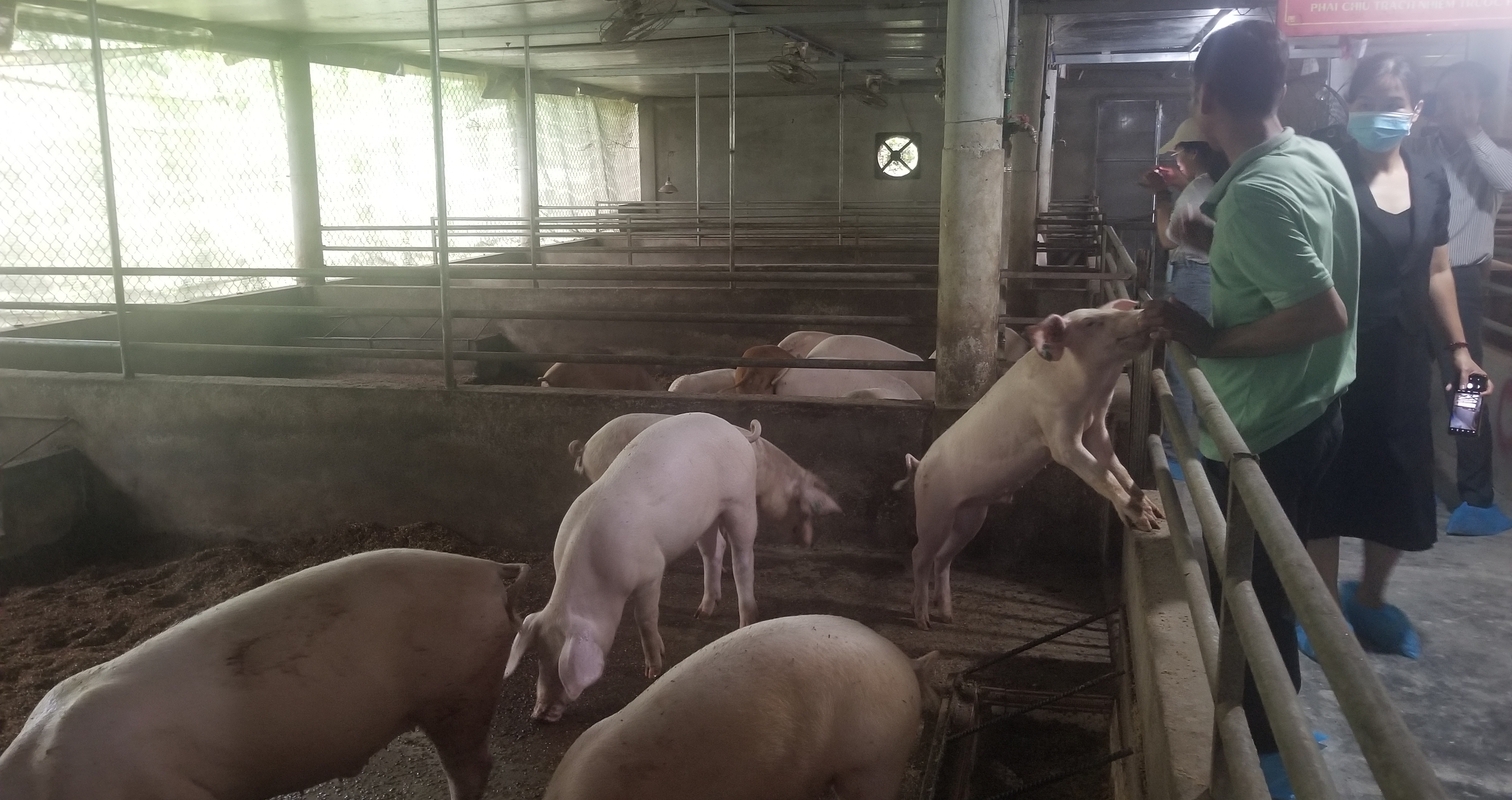 Xây dựng lòng tin về chuỗi giá trị nông nghiệp hữu cơ