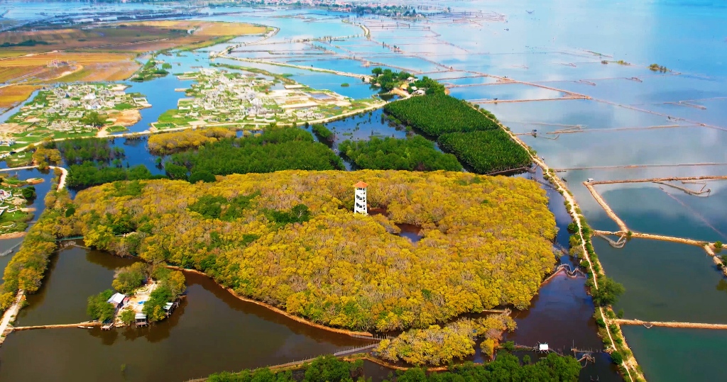 Bản tin Văn hóa - Du lịch ngày 21 9