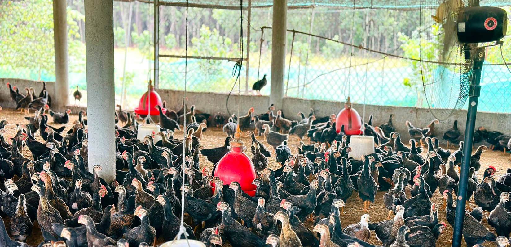 Ít nhà đầu tư nông nghiệp