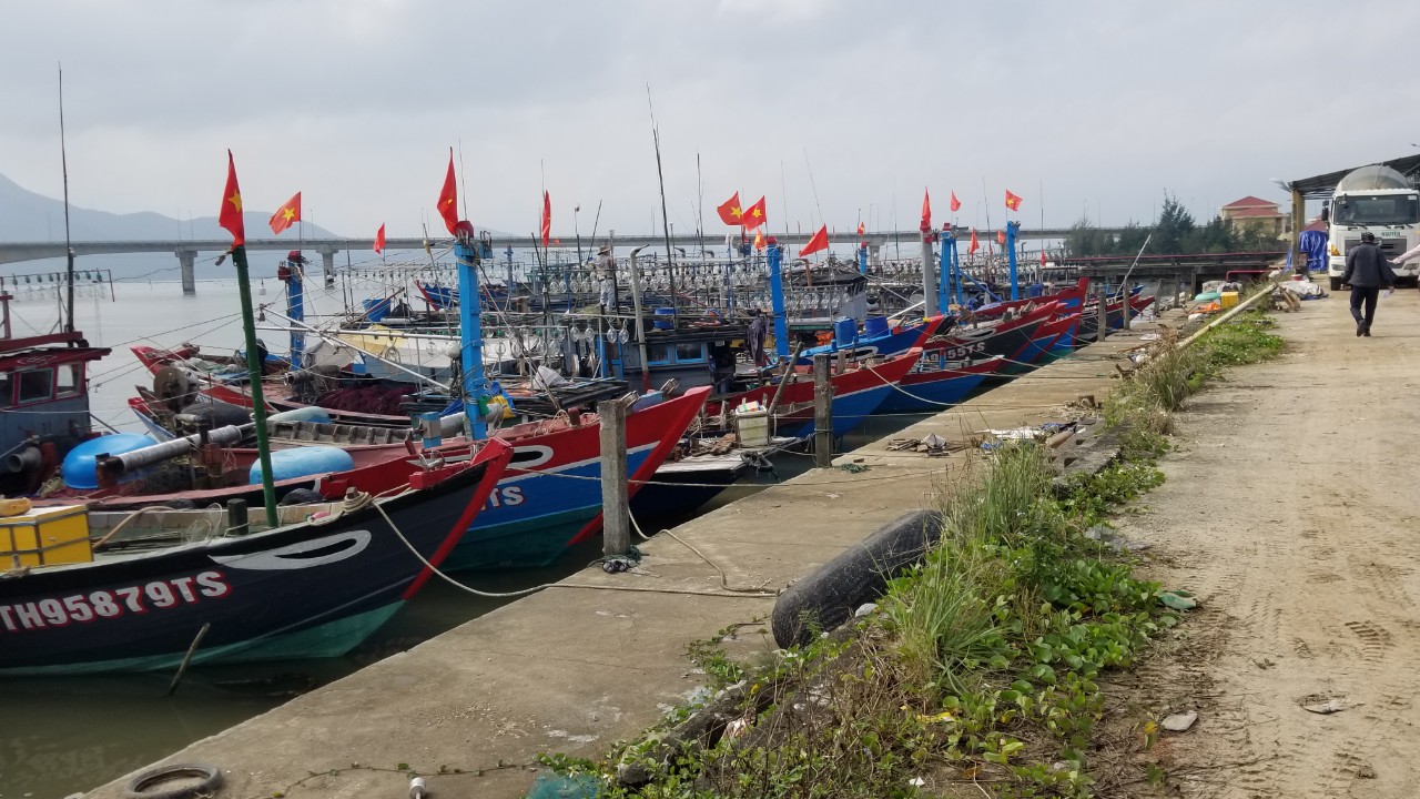 Cấm tàu thuyền ra khơi vào sáng 25 9