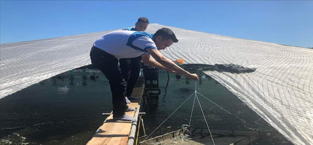 Nhiều yếu tố môi trường vượt ngưỡng nuôi trồng thủy sản