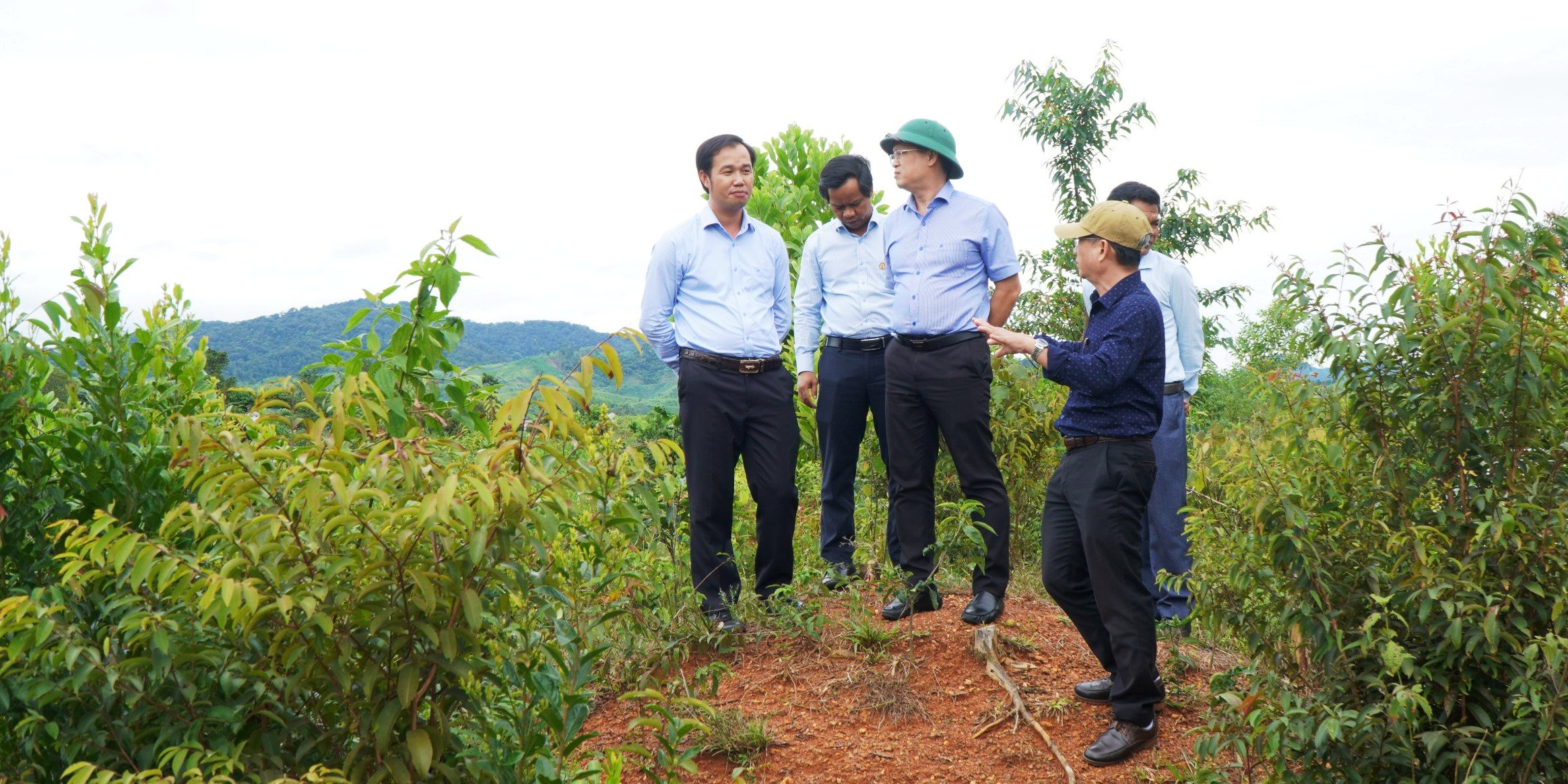 Giảm nghèo là nhiệm vụ của cả hệ thống chính trị