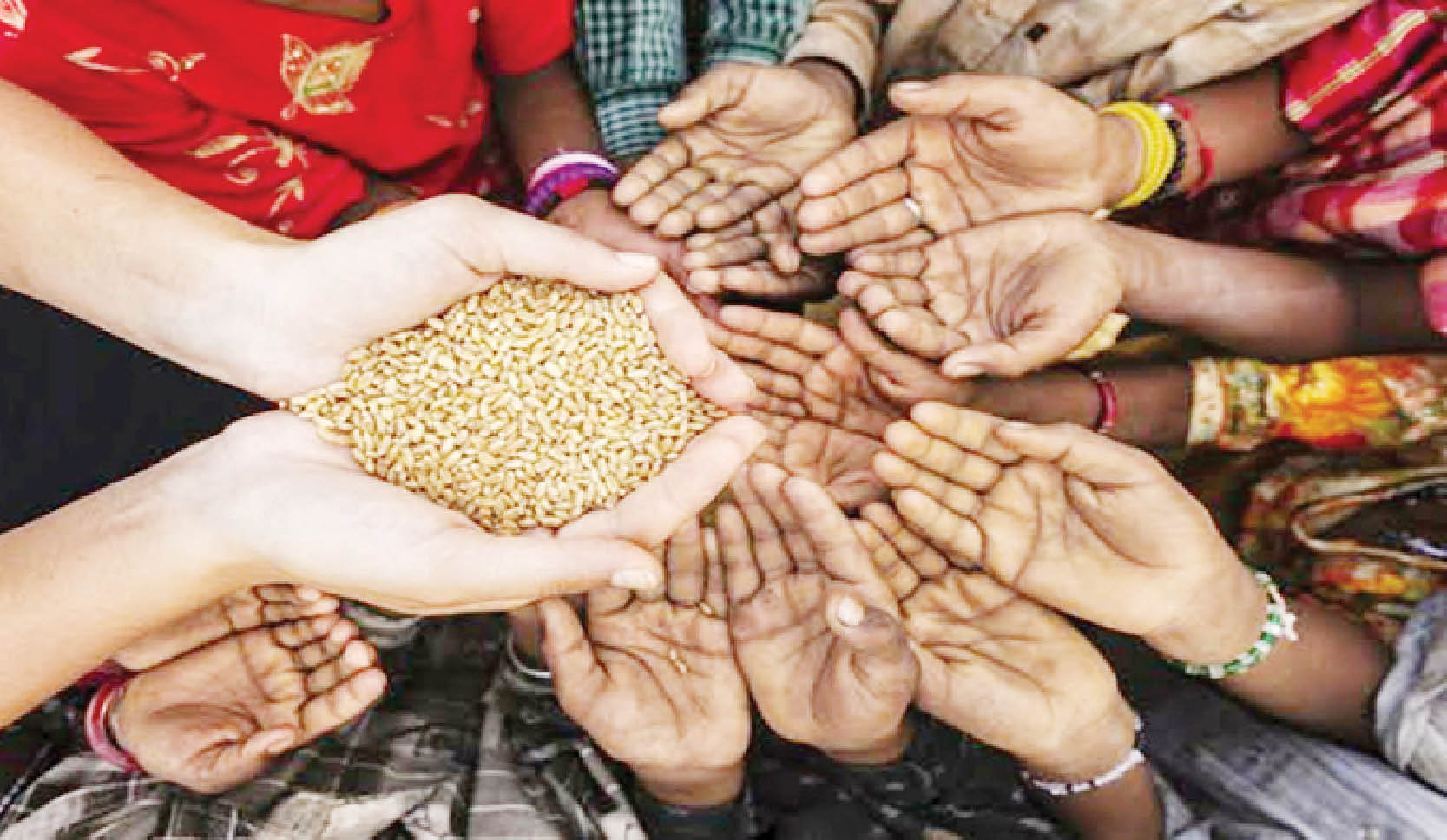 Xây dựng hòa bình, ngăn chặn chiến tranh giúp giải quyết tình trạng mất an ninh lương thực