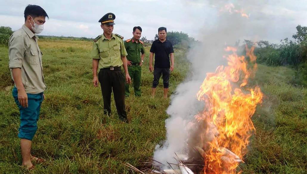 Ngăn chặn săn bắt chim trời