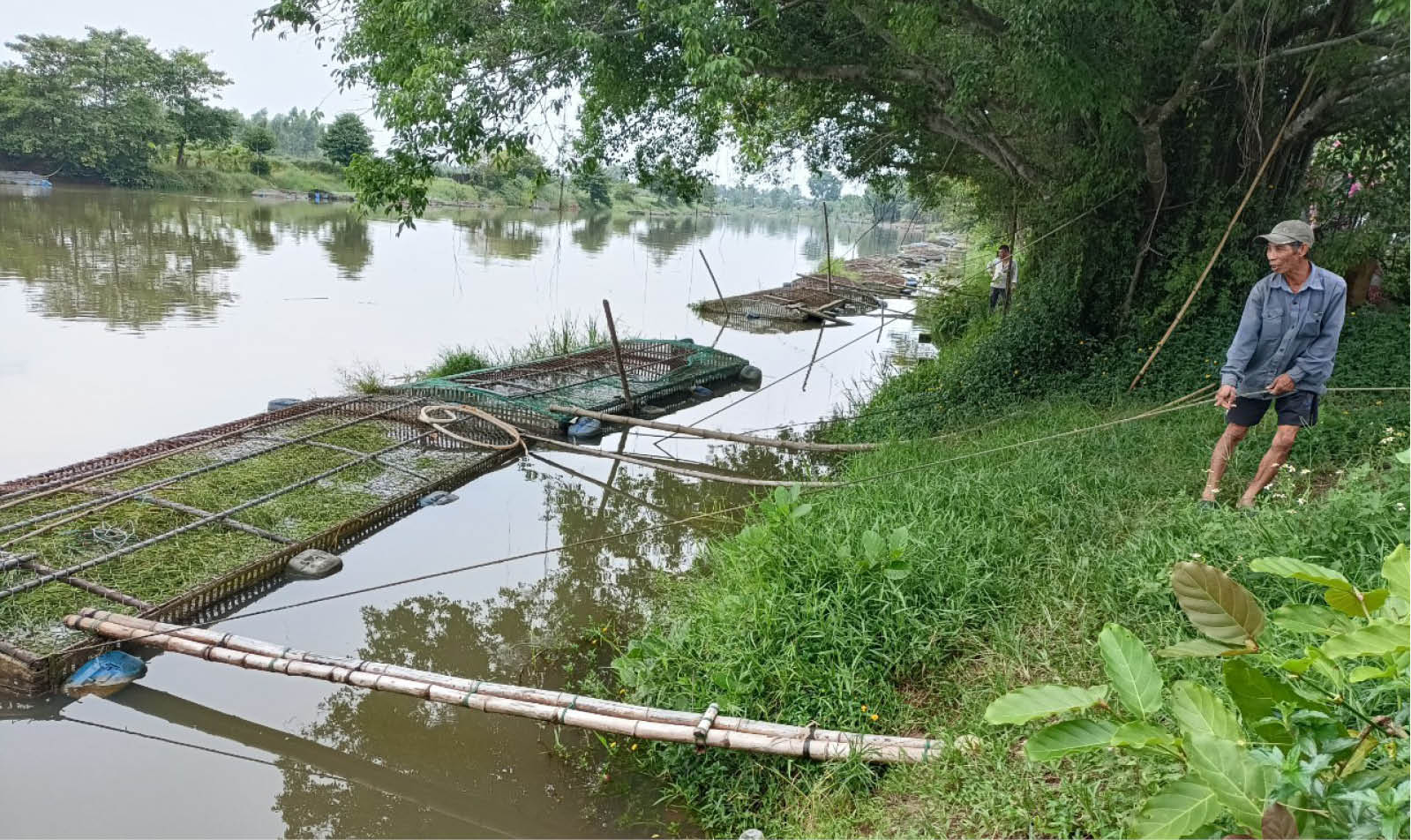 Hướng đến nuôi trồng thủy sản tránh lũ