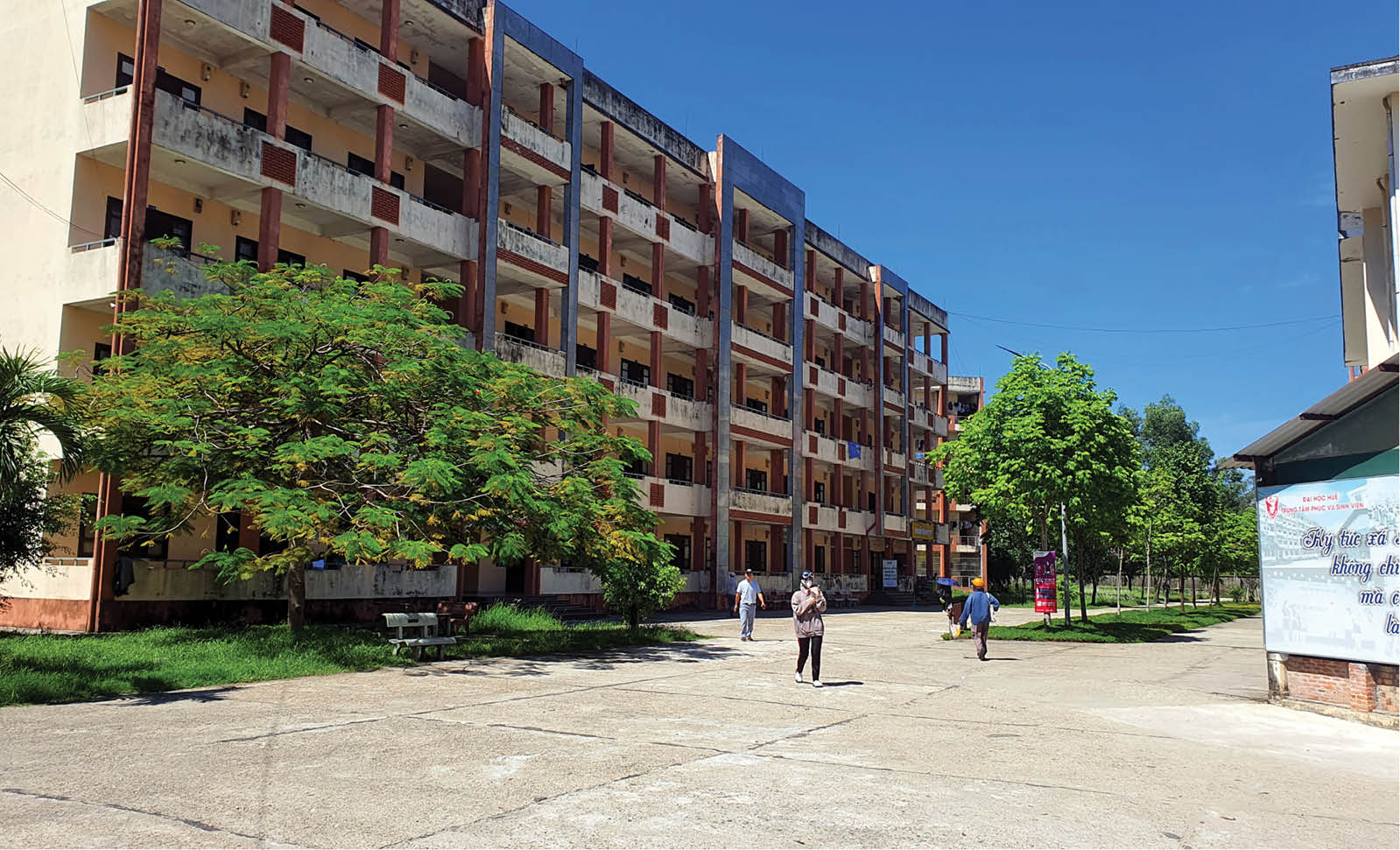 Sinh viên tìm trọ