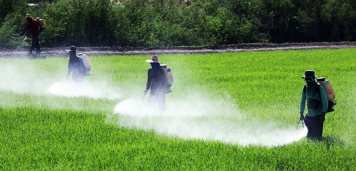 Các quốc gia cam kết loại bỏ dần những hóa chất độc hại nhất để bảo vệ môi trường